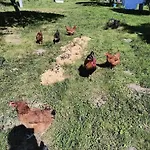 Ab Pstrazna * Kudowa-Zdrój