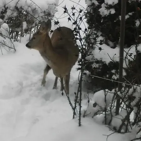 Ab Pstrazna Feriehus