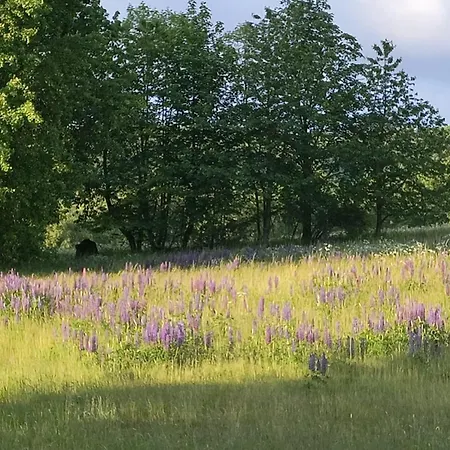 Ab Pstrazna Holiday home Kudowa Zdroj