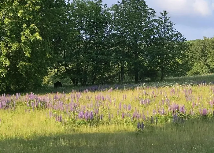 Ab Pstrazna Holiday home Kudowa Zdroj