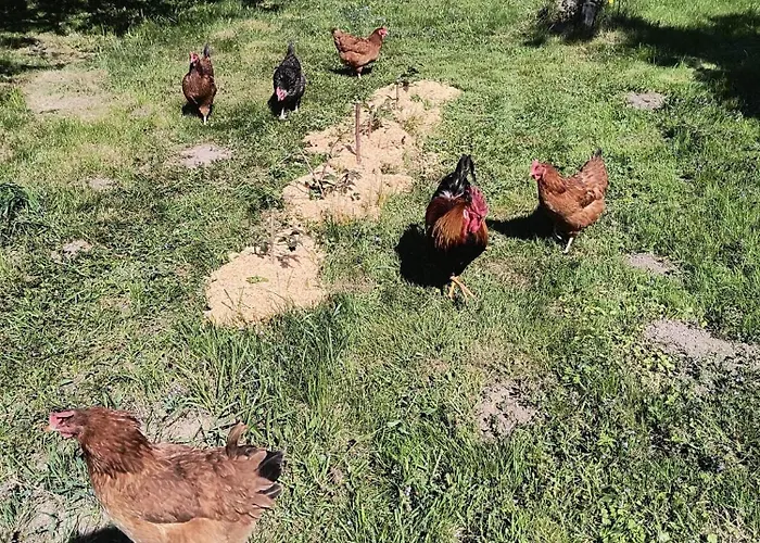 Ab Pstrazna * Kudowa Zdroj